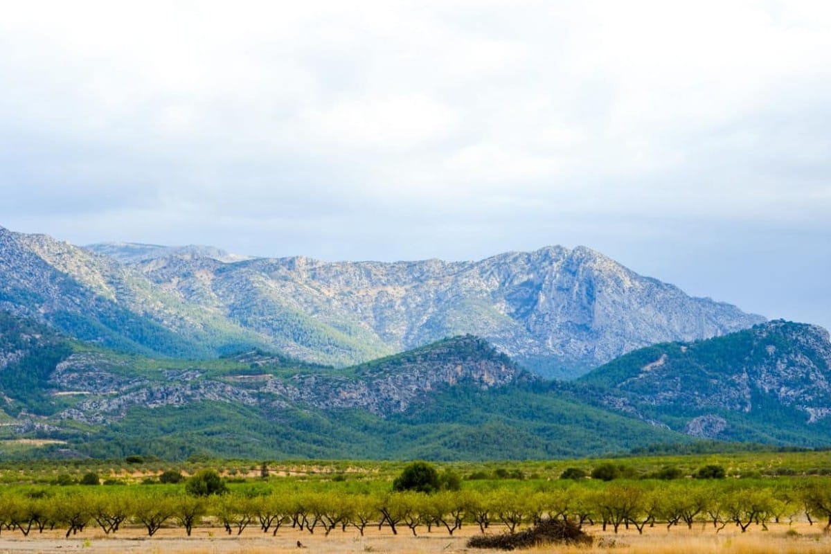 Sierra Espuña - Murcia