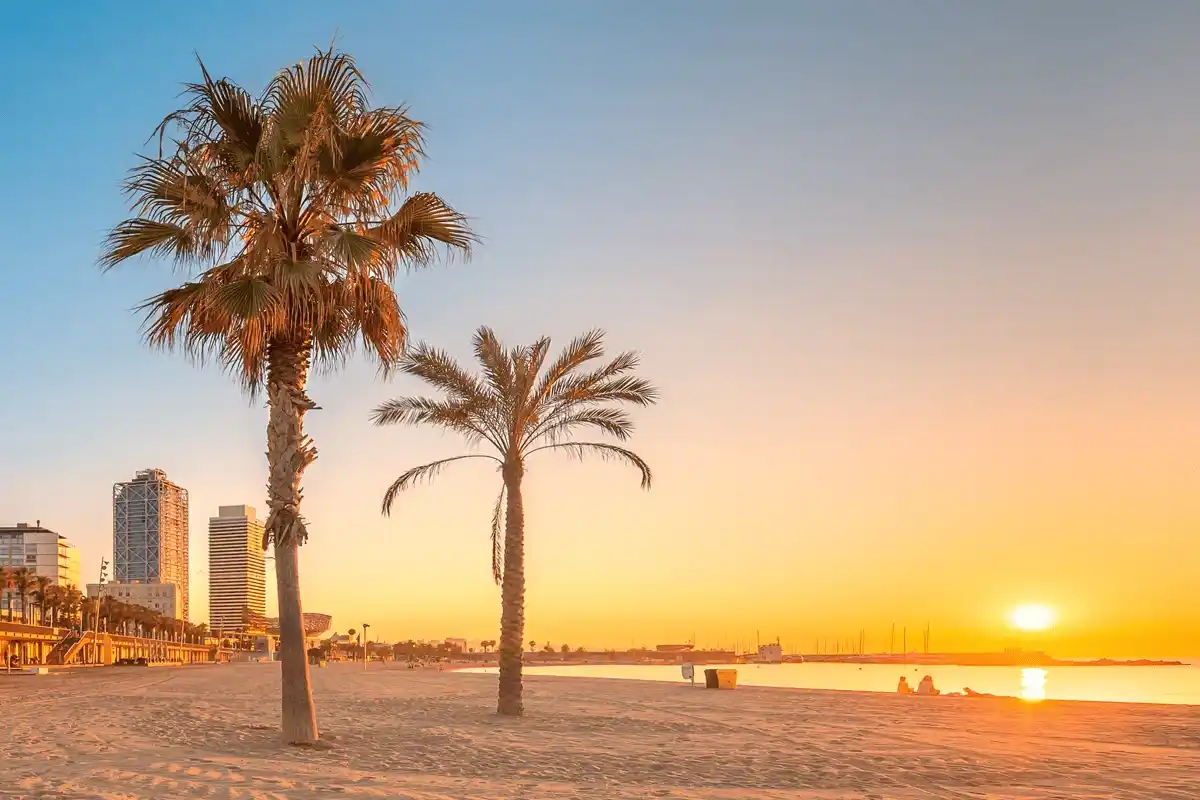 Barceloneta y costa urbana Barcelona