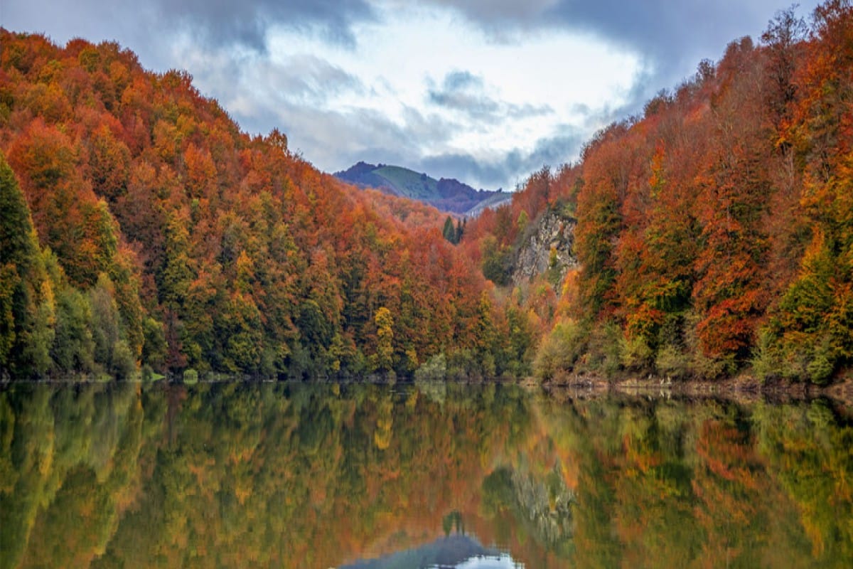 Selva de Irati - Navarra