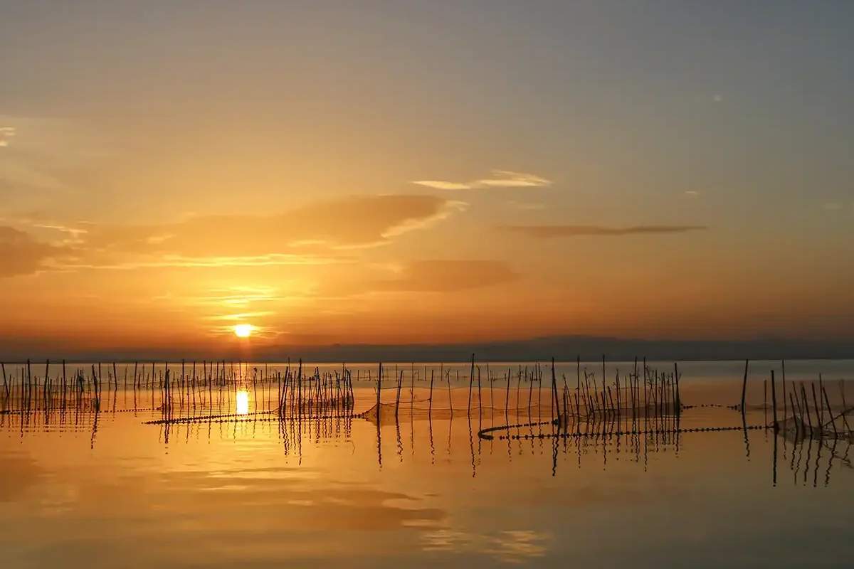 Albufera de Valencia